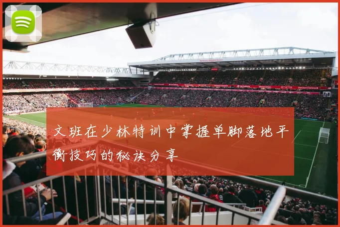 文班在少林特训中掌握单脚落地平衡技巧的秘诀分享